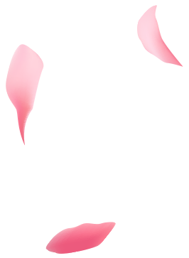 shape