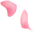 shape